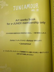 Anime Mook Illustration Art Book Juneamour Vol.18 japan new[express]