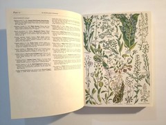 The Concise British Flora in Colour Keble Martin, 1st Edition 1965 HC