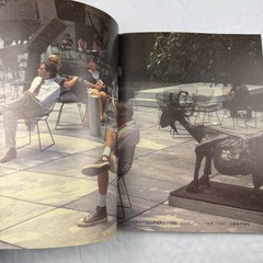 Japanese Art Book Souzoushii Seibutsutachi Modern Art 100 Years Shinchosha Tonbo