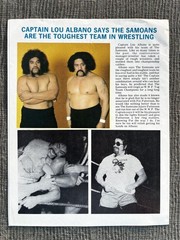 Vintage Major League Wrestling WWF Souvenir Program 1980 #115 Magazine