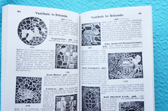 Guide Book to the Tiled Pavement in the Pennsylvania Capitol – Softbound reprint