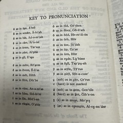 Vintage – Rainbow Bible – Children’s Illustrated KJV – Self-Pronouncing Bible