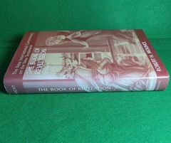 The Book of Revelation, New International Commentary, Robert H Mounce Hardcover