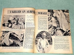 Sir! Magazine July 1953 Vintage Men’s Action/Adventure Men’s Interest VG/FINE
