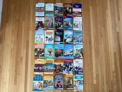 MCGRAW HILL WONDERS LEVELED READERS / GRADE 3 / BEYOND / 30 BOOKS