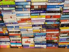 Books by Genre 20 LBS (Pounds) Box Value Lot Sorted Fiction/Nonfiction HB/PB SET