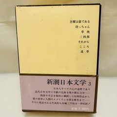Japanese Literature Box Set Soseki Ogai Toson 3 Books Shinchosha Japan