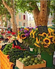 PROVENCE GLORY ~ NEW ASSOULINE HARDCOVER ~ PROFUSELY ILLUSTRATED – AWESOME!