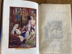 Princes and Princesses. Edited by Andrew Lang. Illus by Henry Ford. 1908 1st Ed.