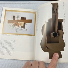 Japanese Art Book Souzoushii Seibutsutachi Modern Art 100 Years Shinchosha Tonbo