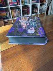 *HANDSIGNED* Illumicrate Rose in Chains by Julie Soto