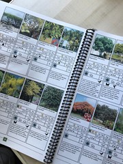 2010 Softcover Spiral-Bound “The Florida Friendly Landscaping™️ Guide”