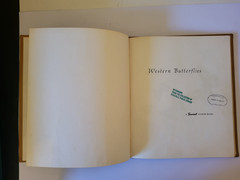 WESTERN BUTTERFLIES SUNSET JUNIOR BOOK Arthur Smith 1961 HC Children’s Nature bk