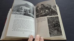 Vintage 1972 Sportsman’s Guide To Game Animals Leonard Rue Outdoor Life HC Book