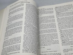 THROUGH THE BIBLE IN A YEAR Standard Publishing Paperback Illustrated (set of 2)