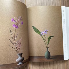 Toshio Kawase One Flower a Day, Shinchosha