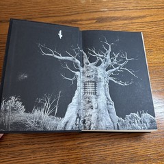 Stephen King Salem’s Lot Illustrated Edition Knopf Hardcover Excellent Condition