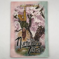 The Numinous Tarot Guidebook Noel Arthur Heimpel 2019 PB Book Only No Cards