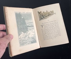 THE CALL OF THE WILD – Jack London – 1903 First (1st) Edition