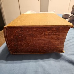 Webster’s New International Dictionary 1931 Vtg Edition Authentic Edition