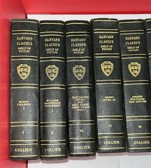 Harvard Classics Shelf of Fiction 1917 PF Collier 8 Vols Vtg Books