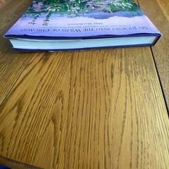 My Journey into the Wilds of Chicago by Mike MacDonald Hardcover 2015 SIGNED