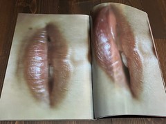 2004 1ST EDITION NOBUYOSHI ARAKI MONTHLY GEKKAN TAMAO SATO JAPANESE PHOTO BOOK
