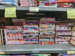 Lot of 10 Manga Graphic Novels Tokyo Pop Anime English – Random Mix