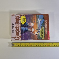 Goosebumps Lot of 4 – R.L. Stine – Paperback – Scholastic