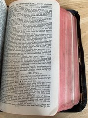 Vintage Self-Pronouncing Holy Bible John C. Winston Company International Series