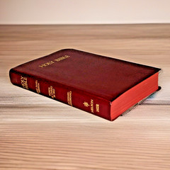 The Holy Bible ~ KJV ~ Self-Pronouncing Red Letter Version ~ Red Cover with Gold