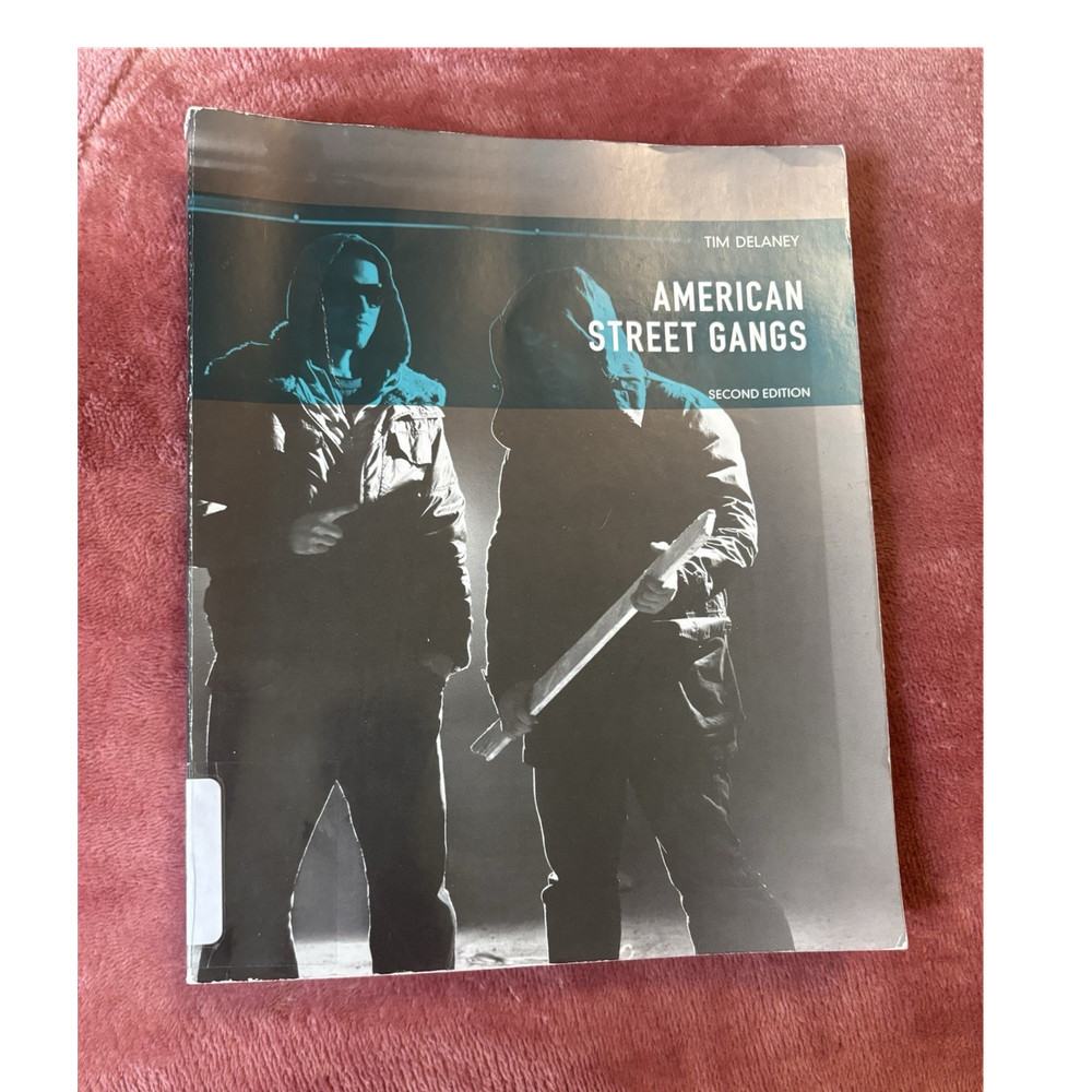 Pearson American Street Gangs 2nd Ed Paperback 2016 Tim Delaney Criminology