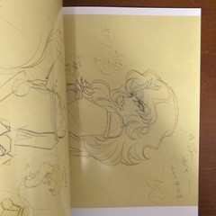 Revolutionary Girl Utena Art Book The hard core of UTENA Animation Side