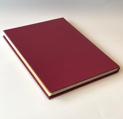 SIGNED Florida History Book Davidson Ltd 1st Ed No 323 Dunedin 1850-1978 HC