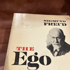 The Ego and the ID Sigmund Freud 1962 Norton Library Pb Edition VTG Paperback