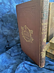 Tiny Antique Books; Miscellany, Plant World, Spectator, Columbian Orator #B46