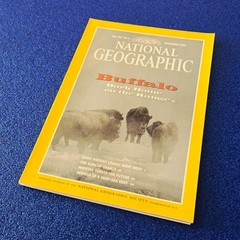 ROUNDING UP BUFFALO ON THE RANGE NOV 1994 NATIONAL GEOGRAPHIC MAGAZINE FREE SHIP