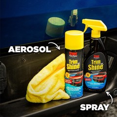 Trim Shine Restorer for Cars, Black Plastic & Vinyl Protectant Coating, 12 Oz.