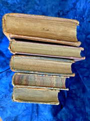 Tiny Antique Books; Miscellany, Plant World, Spectator, Columbian Orator #B46