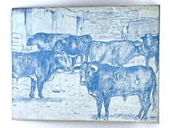 Toreros in Juarez Photos of Bullfighting Illustrations 36 pages Vintage 1960’s