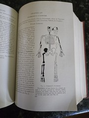 The Practitioners Library of Medicine and Surgery 1938 Supplement Index