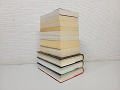 Lot of 11 Paperback & Hardcover Books by Kristin Hannah