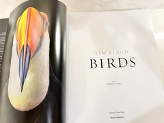 BIRDS by Tim Flach Hardcover Hardback Coffee Cocktail Table ART Photo Book