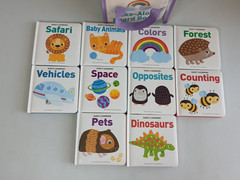 Early Learning TAKE-ALONG BOARD BOOKS Set of 10 in Carry Case Preowned