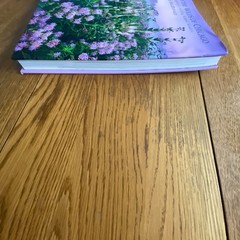 My Journey into the Wilds of Chicago by Mike MacDonald Hardcover 2015 SIGNED