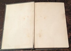 Yetta Segal by Horace J Rollin-NY: GW Dillingham-1898-1st Ed-Hardcover-174pages