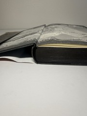 Fourth Wing by Rebecca Yarros 1st Edition 1st Print Sprayed Edges – Fair