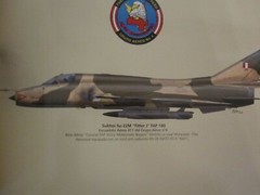 Sukhoi Su22 Fitter by Amaru Tincopa, Color Profiles, 52 pages, 9789871682607