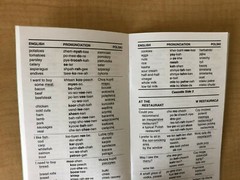 Polish Phrase Book / Dictionary – Pocket Size – by Language/30