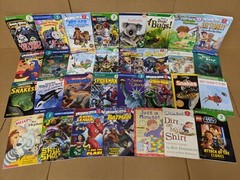 Lot of 10 Level 2 BOOKS FOR BOYS~RL~Ready to-I Can Step into Learn Read – RANDOM